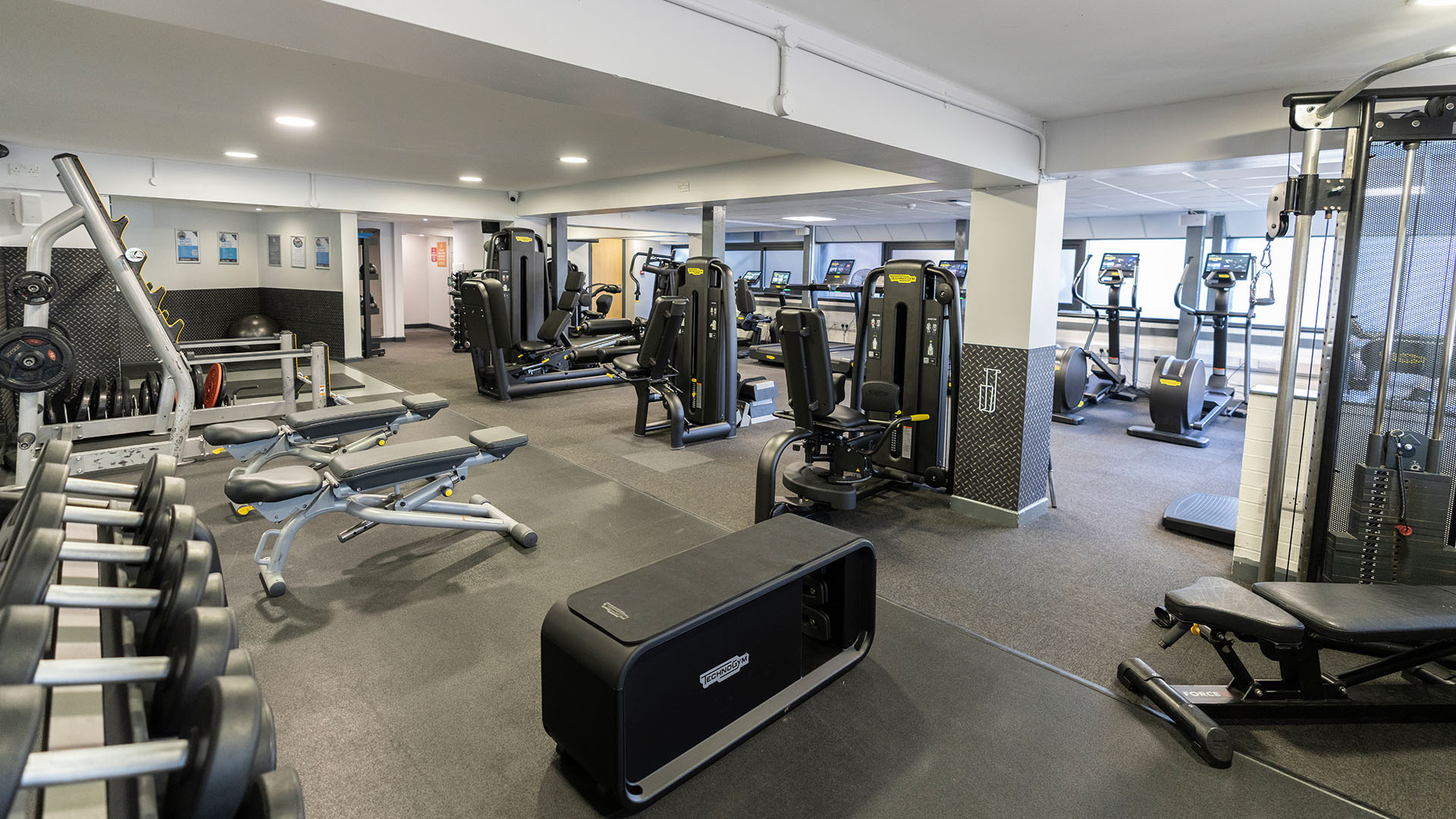 All Womens Gym Near Me Convenient and Secure Fitness Solutions for Women All Womens Gym Near Me Convenient and Secure Fitness Solutions for Women